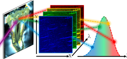 2025_SeungHwan_BOE_vignette.png